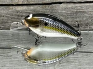 Black Label Balsa - BL 1.0 - Balsa Squarebill - Threadfin Shad Pearl color