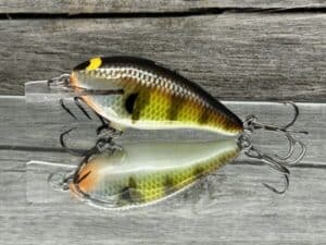 Black Label Balsa - BL 1.0 - Balsa Squarebill - Bold Bluegill color