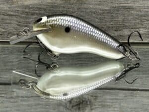 Black Label Balsa - Prowler Flat - Custom Balsa Squarebill Crankbait - American Shad color