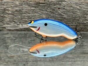 Black Label Balsa - Tapout Jr - Custom Balsa Crankbait - Blue Back Pearl Orange Belly color