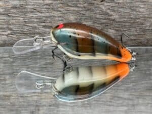 Black Label Balsa - Rock Hound SR - Custom Balsa Crankbait - Molting Craw color