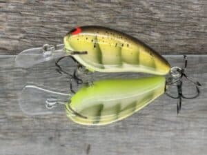 Black Label Balsa - Rock Hound SR - Custom Balsa Crankbait - Bone Craw color