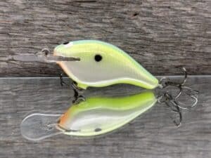 Black Label Balsa - Shiver 5 - Custom Balsa Crankbait - Citrus Candy color