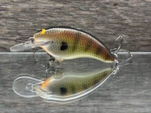 Black Label Balsa - Razor Jr SSS - Balsa Crankbait - Bold Bluegill color