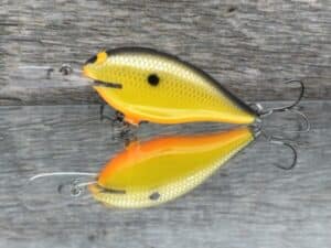 Black Label Balsa - Mod 6 - Custom Balsa Crankbait - Mellow Yellow color