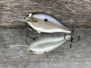 Black Label Balsa - Mod 6 - Custom Balsa Crankbait - American Shad color