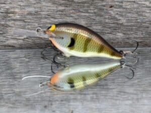 Black Label Balsa - Mod 6 - Custom Balsa Crankbait - Bold Bluegill color