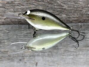 Black Label Balsa - Mod 6 - Custom Balsa Crankbait - Money Shad color