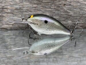 Black Label Balsa - Mod 6 - Custom Balsa Crankbait - Gizzard Shad Foil color