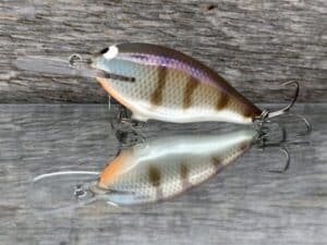 Black Label Balsa - Mod 6 - Custom Balsa Crankbait - JB's Gill color