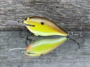 Black Label Balsa - Mod 6 - Custom Balsa Crankbait - River Bream color