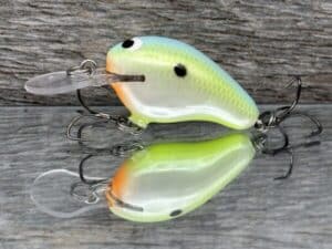 Black Label Balsa - Runt MR - Custom Balsa Crankbait - Citrus Candy color