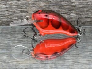 Black Label Balsa - Runt MR - Custom Balsa Crankbait - Delta Craw color