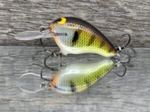 Black Label Balsa - Runt MR - Custom Balsa Crankbait - Bold Bluegill color