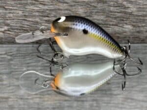 Black Label Balsa - Runt MR - Custom Balsa Crankbait - Threadfin Shad Pearl color