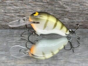 Black Label Balsa - Runt MR - Custom Balsa Crankbait - Faded Perch color