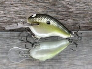 Black Label Balsa - Runt MR - Custom Balsa Crankbait - Money Shad color