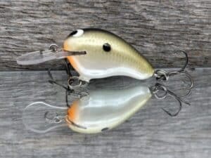 Black Label Balsa - Runt MR - Custom Balsa Crankbait - Smash color