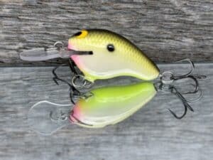 Black Label Balsa - Runt MR - Custom Balsa Crankbait - Bone Shad color