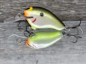 Black Label Balsa - Runt MR - Custom Balsa Crankbait - Plemmons color