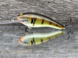 Black Label Balsa - Z II - Custom Balsa Crankbait - Bold Bluegill color