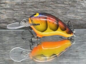 Black Label Balsa - Runt MR - Custom Balsa Crankbait - Spring Craw color