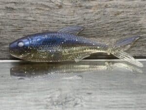 Black Label Custom Soft Plastics - Player Shad 3" - Sexy Shad 8ct