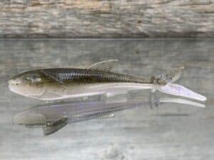 Black Label Custom Soft Plastics - Hover Player Shad 4" - Electric Shad 6ct