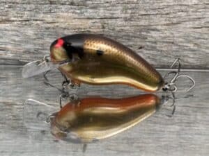 Black Label Balsa - Prowler - Custom Balsa Squarebill Crankbait - Crawdad color