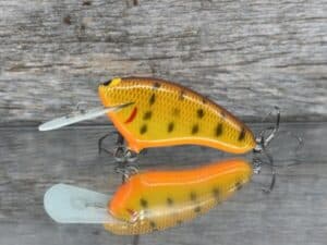 Black Label Balsa - Hickster MR- Balsa Crankbait - DC9 color